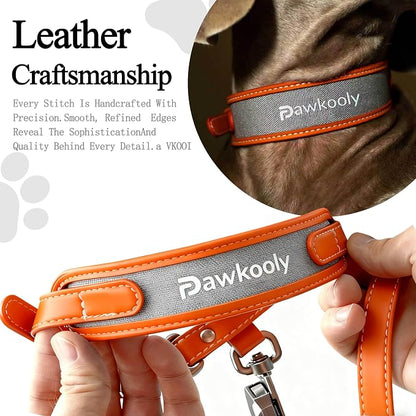 MagEase Dog Collar with 4FT Leash | Adjustable | Anti-Wrinkle, Bite & Stain-Resistant Leather | Soft & Skin-Friendly | 450LB Escape-Proof Magnetic Buckle (Orange, Small)