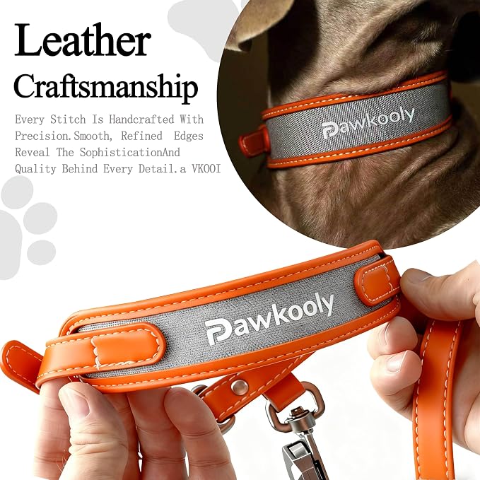 MagEase Dog Collar with 4FT Leash | Adjustable | Anti-Wrinkle, Bite & Stain-Resistant Leather | Soft & Skin-Friendly | 450LB Escape-Proof Magnetic Buckle (Orange, Medium)