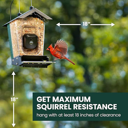 Perky-Pet Solar Powered Smart Bird Feeder with Camera - Squirrel-Resistant, 3.2L Capacity, Motion Activated 1080p HD WiFi Live Stream Camera, SPCAM, SPCAMSLR - Camera Feeder Gift Idea, Blue