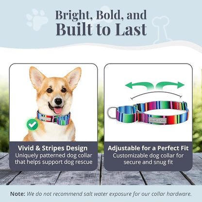 Lucky Love Dog Martingale Dog Collar & Leash - Adjustable, No-Slip, Durable, Comfortable, Soft Webbing, & Stylish Patterned Collar & Leash Set for Male and Female Dogs - Nacho Combo, Small