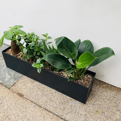 PSOIRGCNH Modern Metal Steel Trough Planter - Rectangle Black Planters for Indoor - 16" Window Sill Planters - Table or Window Boxes Planter - Windowsill Herb(1pc Short Black)