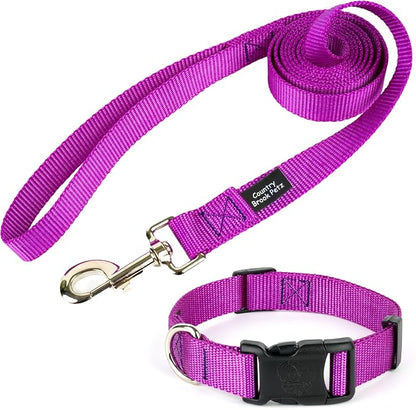Country Brook Petz - Everyday Nylon Dog Collar and Leash - 10+ Cool Colors (3/4 Inch, Medium, Bright Purple)