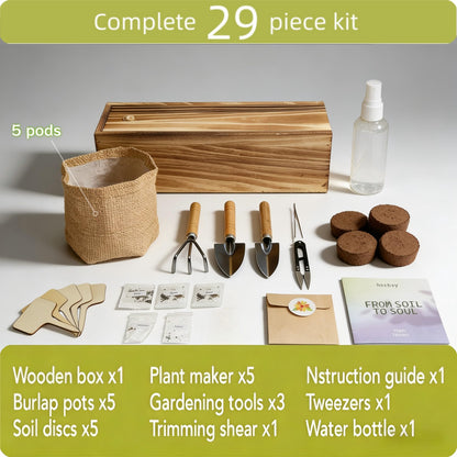 5 Herb Garden Kit with Wooden Box – Basil, Thyme, Parsley, Rosemary, Mint – Windowsill Herb Garden for Kitchen – Mother’s Day Gift for Mom, Gardening Gift for Women – Birthday Housewarming