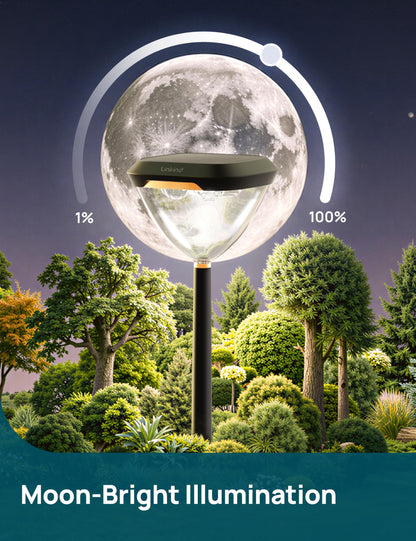 Linkind Smart Solar Pathway Lights SP6, App/Voice Control Solar Lights Outdoor Waterproof, 43+ Preset Scenes, Cool/Warm White/Color-Changing Outdoor Garden Lights for Yard, Patio, 4 Pack