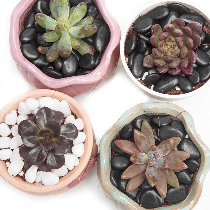 Black Small Decorative Pebbles - Gravel River Rock,Natural Polished Decorative Stones 3/8" Gravel Size,Pebbles Gravel for Bamboo Plants,Succulent,Home Decor,Landscaping,Vase Fillers and More.
