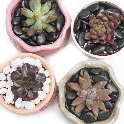 Black Small Decorative Pebbles - Gravel River Rock,Natural Polished Decorative Stones 3/8" Gravel Size,Pebbles Gravel for Bamboo Plants,Succulent,Home Decor,Landscaping,Vase Fillers and More.