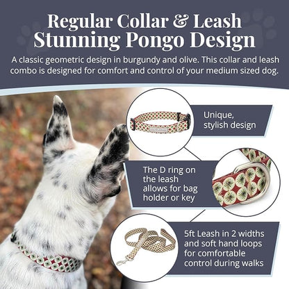 Lucky Love Dog - Easy Click Buckle Dog Collar with Leash Set Combo, Durable & Comfortable for Male & Female Dogs, Pet Collar for Small Dogs, Secure Fit - Pongo Combo, XS