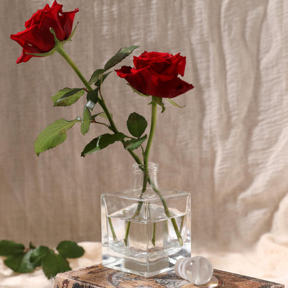 Magic Season Decorative Glass Bottle - 7 fl oz. Square Bottle (1 Set w/Glass Stopper)