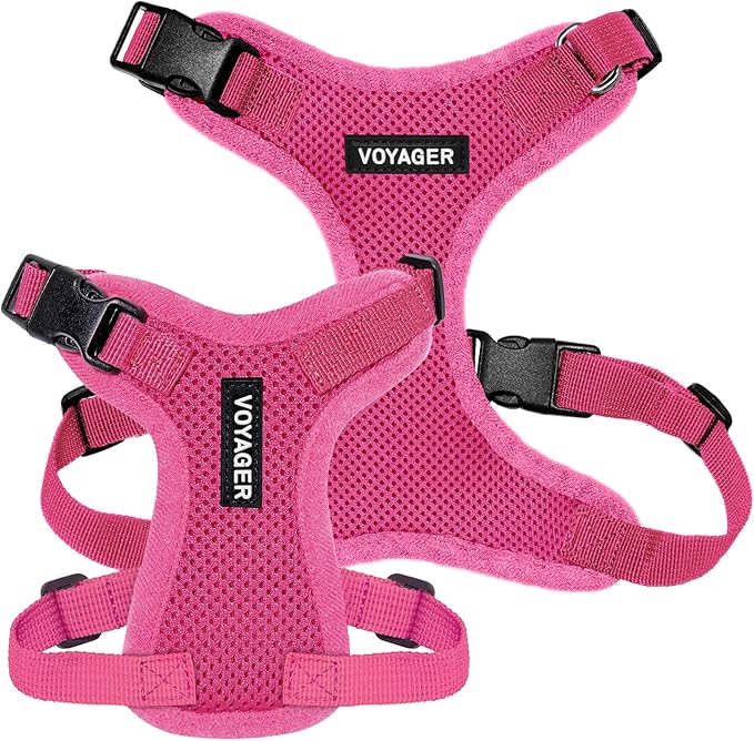 Voyager Step-in Pet Harness - All Weather Mesh, Adjustable Step in Harness for Cats and Dogs by Best Pet Supplies - Fuchsia, S