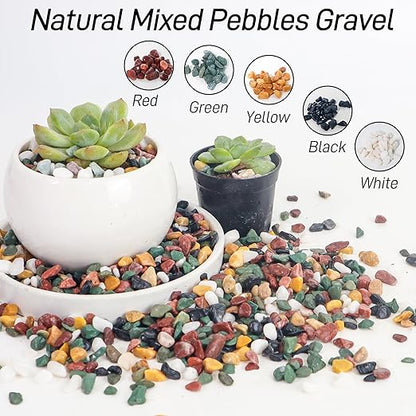 CJGQ 18lb Aquarium Gravel for Plants, 1/4Inch Fish Tank Gravel for Succulent Cactus and Bonsai, Decorative River Rocks Pebbles for Gardening, Flower Pots, Landscaping,Terrarium