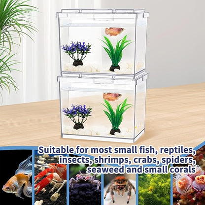 MoonOrange Mini Betta Fish Tank, Small Fish Bowl for Temporary Space, 0.2 Gallon Stackable Cube Tank with Artificial Plants and Gravels for Small Fish, Insect, Shrimp, Crab, Spider. (Pack-2)