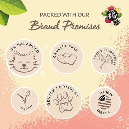 Pet Head Felin' Good Cat No Rinse Foam | Fruity Scent with Aloe Vera | Dry Cat Shampoo for Smelly Cats | Vegan | Lick-Safe | Gentle Formula for Kittens | Made in USA | 6.7 fl. oz.