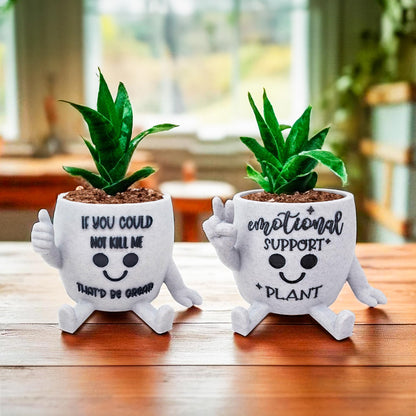 Funny Face Indoor Head Planter Pot, 3D Printed, Unique Small Succulent Flower Pot, Cute Cactus Planter, Indoor Home Decor, Office Desk Plant Pot, Novelty Gardening Gift Set
