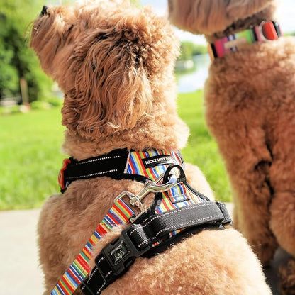 Lucky Love Dog Harness, Easy to Walk, No Pull Dog Harness, Adjustable Custom Fit (Hippie, Extra Small)