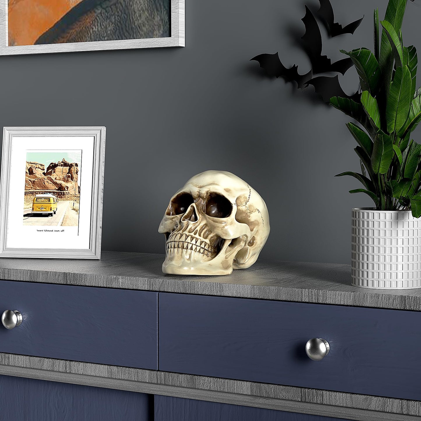 READAEER Resin Skull, Human Head Model for Home Decoration, Halloween Statue, Skull Model for Bookshelf and Desktop (White)