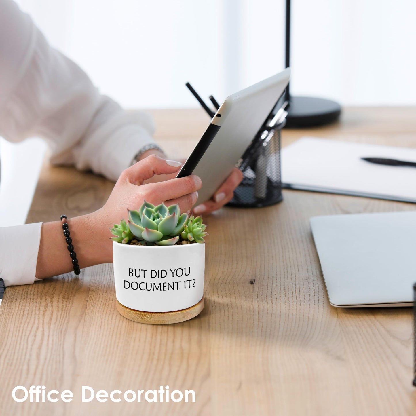 ROXMART But Did You Document It Funny Plant Pots, Funny Office Gifts Succulent Planters, Sarcastic Gifts for Women Men Coworker Ceramic Plant Flower Pots for Home Office Desk Table Shelf(No Plants)