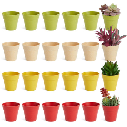 Juvale Mini Plastic Plant Pots - Drainage Hole for Flower Pots - Sturdy Planter for Indoor Plants - Pack of 24, 2.5 x 2.3 in, Multicolor