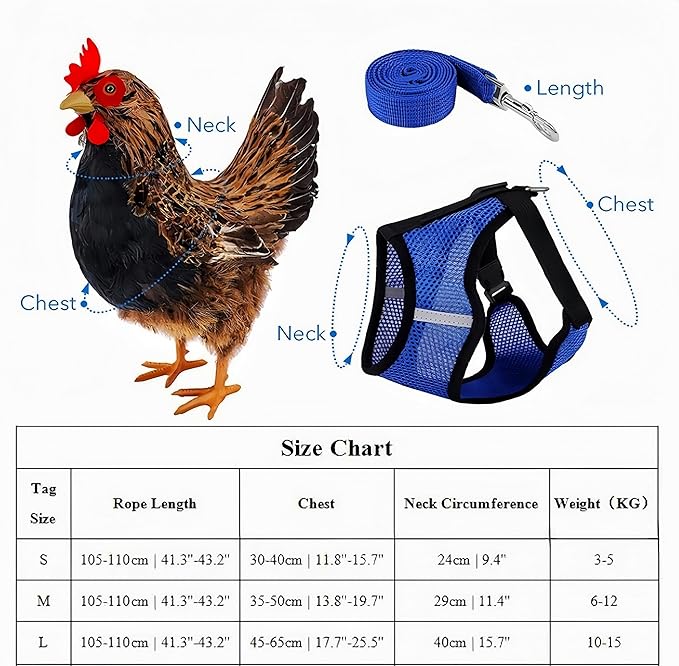 3 Pack Chicken Harness and Leash Set Adjustable Hen Vest with Matching Belt Breathable Mesh Training Harness Pets Leash for Hens Duck Goose Small Pet-Green&Purple&Blue,S
