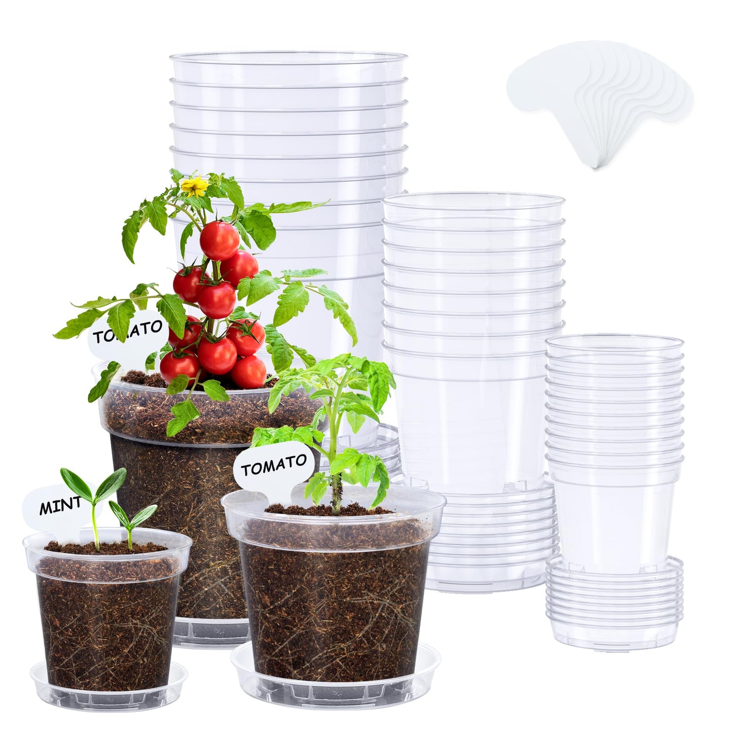 homenote 3/4/5 Inch Clear Nursery Pots 24 Pack with Drainage and Plant Saucers, Variety Pack Rigid High-Transparency Plastic Nursery Pots for Plants, Planter Nursery Pots with Upgraded Drainage Holes