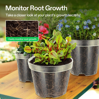 VIVOSUN 36 Packs 4/5/6 Inch Clear Nursery Pots with Drainage Holes, Reinforced Plastic Seedling Pots for Plants, Flowers, Cuttings, and Succulents, 40 pcs Plant Labels