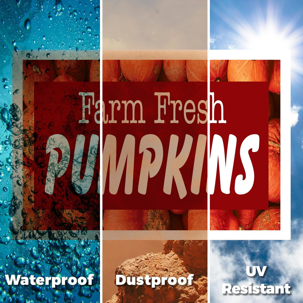 Farm Fresh Pumpkins Yard Sign 12 Inch x 16 Inch Double Sided Weatherproof Heavy-Duty Plastic with Stake | Seasonal Favorites, Local Farms, Freshly Picked | Made in USA