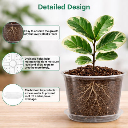 Bluepro 12 Pack 10/8/6/5 Inch Reinforced Large Clear Nursery Pots with Saucers, Transparent Variety Pack Plastic Plant Pot with Drainage Holes for Vegetable Propagation, Root Cutting, Seed Starting