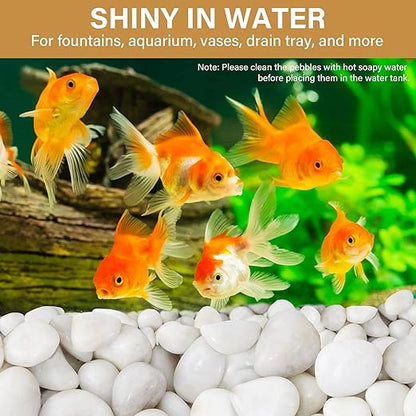 NUPICK 3lb White River Rocks for Plants Indoor, 2-3Inch White Pebbles for Vases Fillers, Decorative Gravel for Fish Tank, Natural Polished Stones for Succulent, Bonsai, Landscaping, Bird Baths