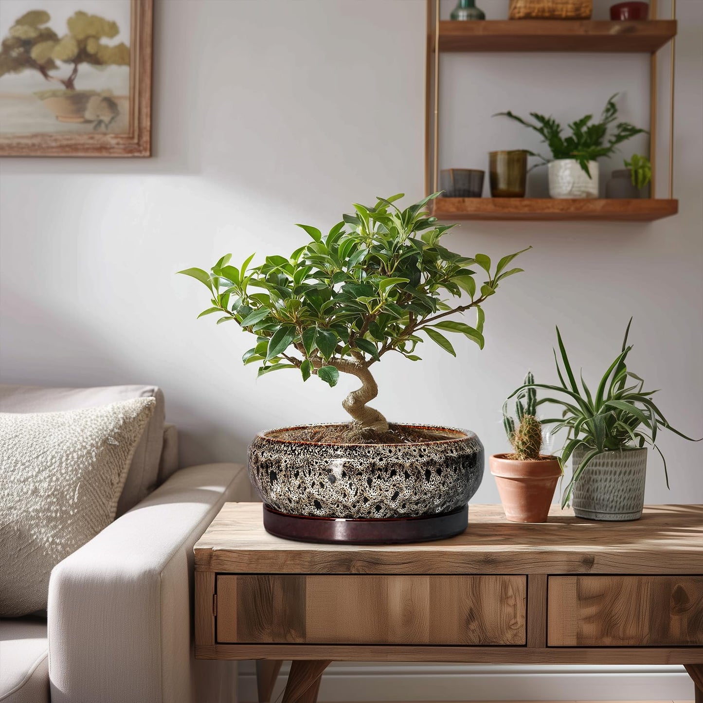 EPFamily Bonsai Pots - 8 Inch Ceramic Pots for Plants with Drainage Hole and Saucer, Round Succulent Pot, Bonsai Planters Indoor Outdoor, Shallow Planter Bowl, Patio Decor, Gardening Gift, White