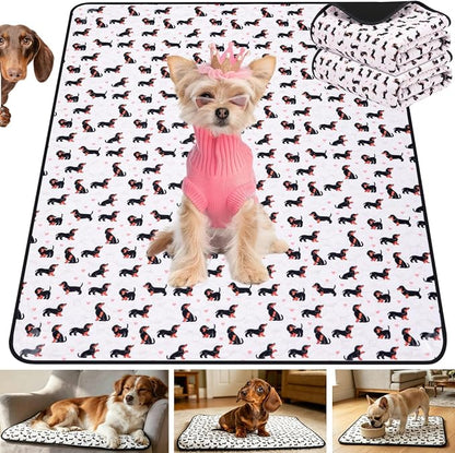 Washable Pee Pads for Dogs,2 Pack Reusable Puppy Training Pads-Funny Dachshund Print,Odor Resistant Super Absorbent,for Crate,Playpen,Floor,Whelping & Housebreaking