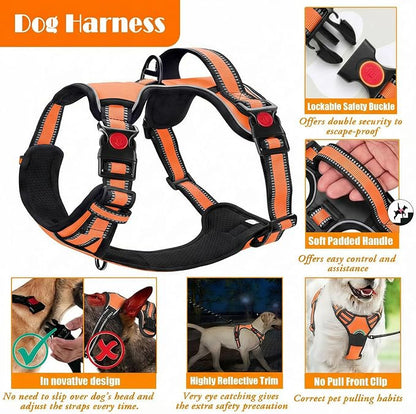 LOBEVE No Pull Dog Harness, Collar & Leash Set | Includes Dog Seat Belt, Collapsible Bowls & Poop Bag Dispenser. Ideal for Training, Walking, Hiking. Fits Small to Large Dogs(Orange-M)