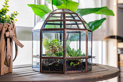 Urban Born Large Terrarium Birdcage, Glass and Metal Indoor Display Case, Unique Gift Idea, Succulent Container, Orchid Planter, Home Decor. (Bronze) 10" x 9"(Diameter)