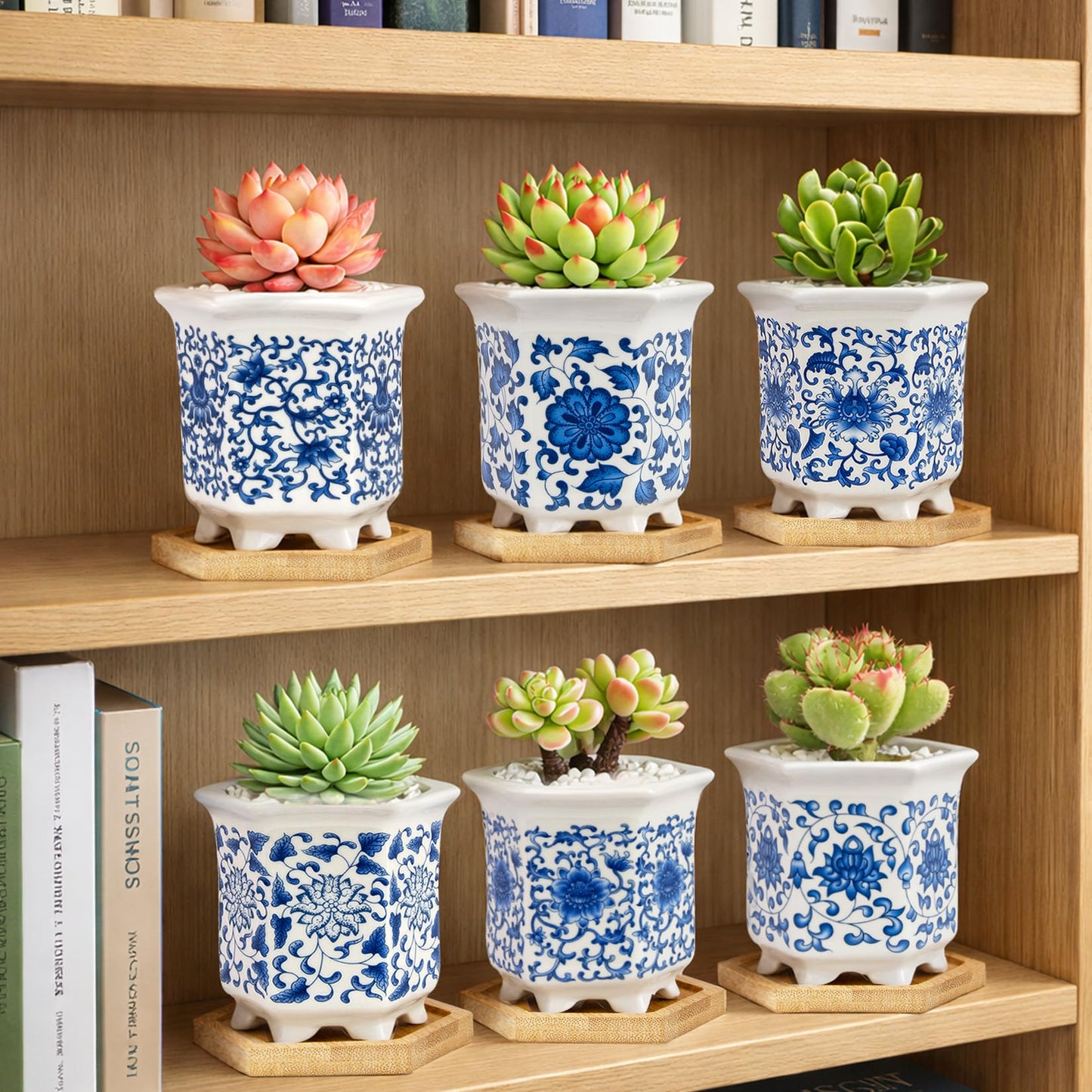 Succulent Pots, Small Ceramic Pots for Plants Set of 6, 3.3" Succulent Planters with Drainage & Saucers, Mini Plant Pots for Indoor Plants, Cactus, Small Flower Pots for Home Office