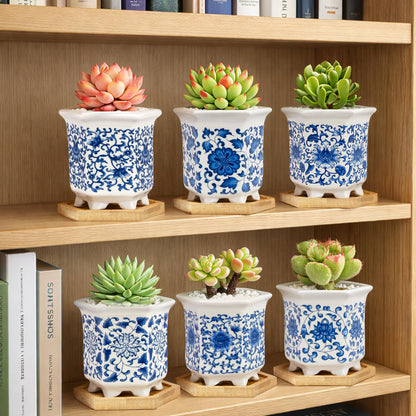 Succulent Pots, Small Ceramic Pots for Plants Set of 6, 3.3" Succulent Planters with Drainage & Saucers, Mini Plant Pots for Indoor Plants, Cactus, Small Flower Pots for Home Office