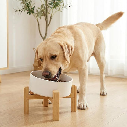 hjn Elevated Ceramic Dog Bowl 15°Slanted Raised Dog Bowl with Bamboo Stand for Small Medium Dogs and Cats, Pet Feeder -7.6-Cup (1800ml)-White