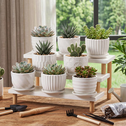 Maxdot 12 Set 4 Inch Ceramic Pots for Plants White Flower Pots with Drainage Holes Saucer Flower Planter for Indoor Outdoor Gardening Home Desktop Office Windowsill Decor