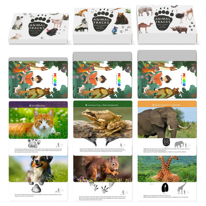 MEROCO Safari Animal Tracks Card Game, Farm Animal Flash Cards, Matching Game - Kids Science Learning Educational Toys for Homeschool, Preschool, Autism - 3 Years Old & Up