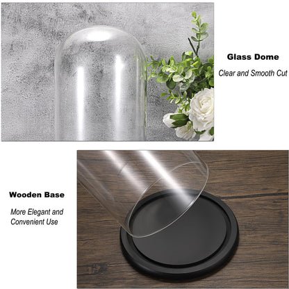 JUXYES 13.8 Inches Glass Display Dome Cloche with Black Wood Base, Clear Glass Dome Cloche Bell Terrarium Jar Glass Cloche Bell Jar Display for Plants Collectible Figure, 15x35cm