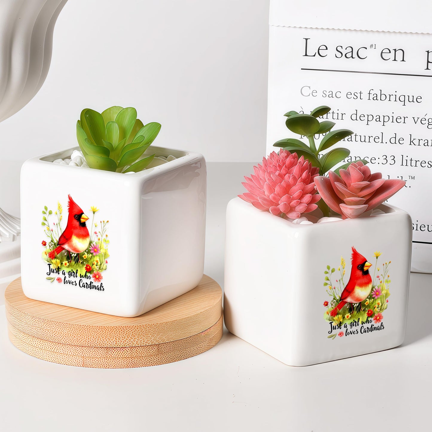 BJDAMAI Cardinal Succulent Planter Flower Plant Pot Small, Gifts for Women Teens Girls Kids, Cardinal Lovers Themed Stuff Accessories Things Decor Merch, Home Office Table Desk Decoration!