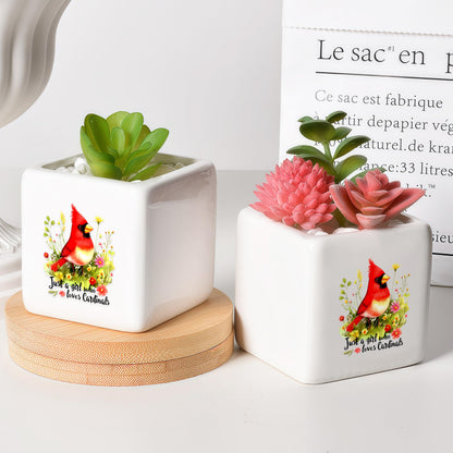 BJDAMAI Cardinal Succulent Planter Flower Plant Pot Small, Gifts for Women Teens Girls Kids, Cardinal Lovers Themed Stuff Accessories Things Decor Merch, Home Office Table Desk Decoration!