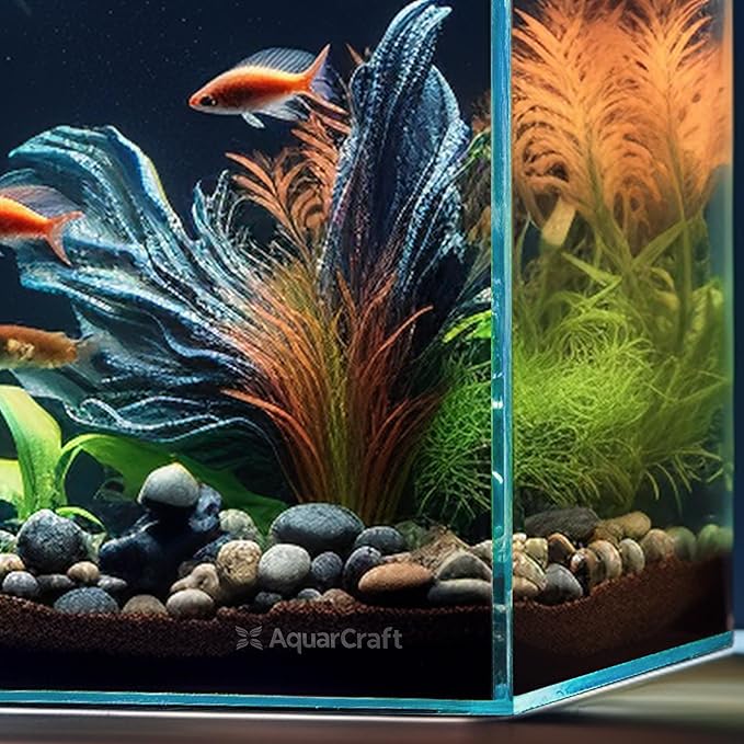 Ultra Clear Glass Fish Tank 24 Gallon, 8mm Thickened Rimless Aquarium Tank Low Iron, Large Big Aquarium 23.6in x15.7in x 15.7in