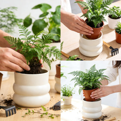 FUYHE 6 Inch Plant Pot,Ceramic Planter Pot with Drainage Hole,Indoor Planters for Herbs Plants,Ceramic Flower Pots for Indoor/Outdoor Plants,Home Office Garden Décor,Cream White