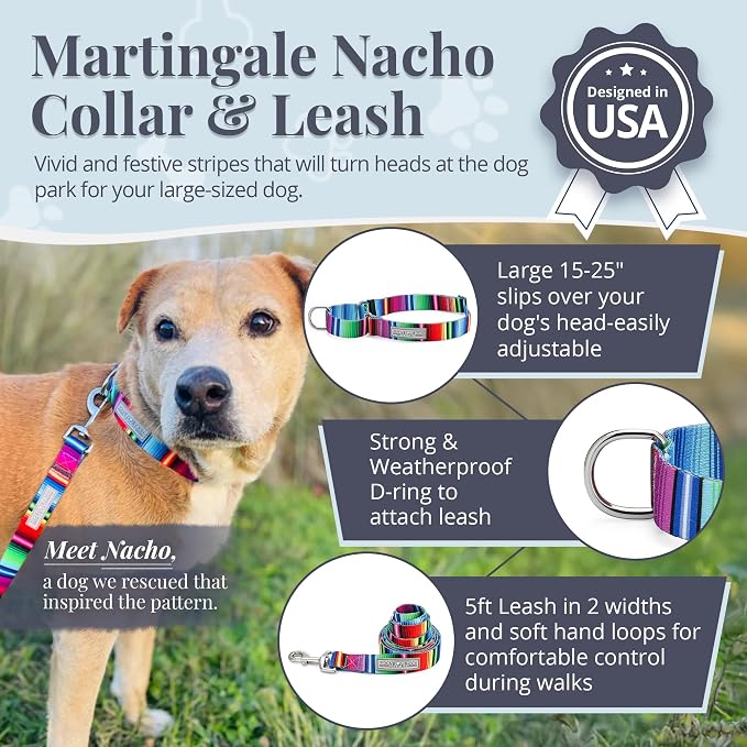 Lucky Love Dog Martingale Dog Collar & Leash - Adjustable, No-Slip, Durable, Comfortable, Soft Webbing, & Stylish Patterned Collar & Leash Set for Male and Female Dogs - Nacho Combo, Large