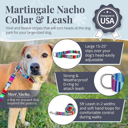 Lucky Love Dog Martingale Dog Collar & Leash - Adjustable, No-Slip, Durable, Comfortable, Soft Webbing, & Stylish Patterned Collar & Leash Set for Male and Female Dogs - Nacho Combo, Large