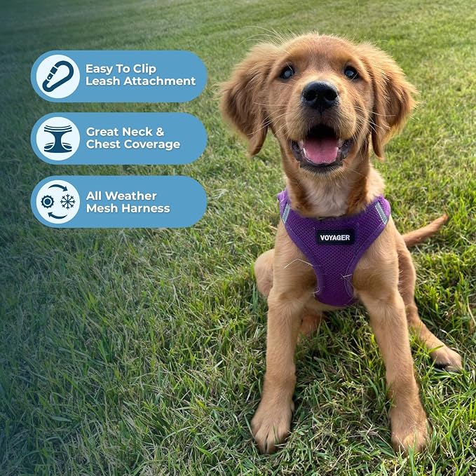 Best Pet Supplies Voyager Step-in Air All Weather Mesh Harness and Reflective Dog 5ft Leash Combo with Neoprene Handle, for Small, Medium and Large Breed Puppies - Set (Purple), XX-Small