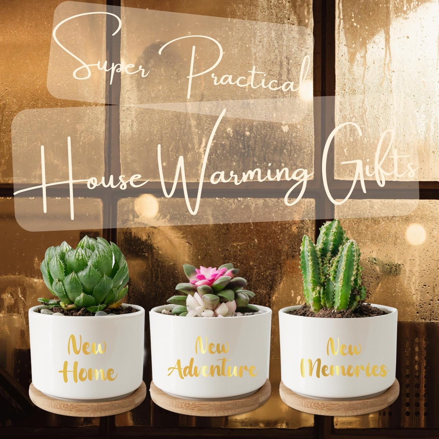 InnoBeta House Warming Gifts Succulent Plant Pots 3pcs, Gifts for House Warming, Planter Pot with Bamboo Tray for New Home, Plants NOT Included