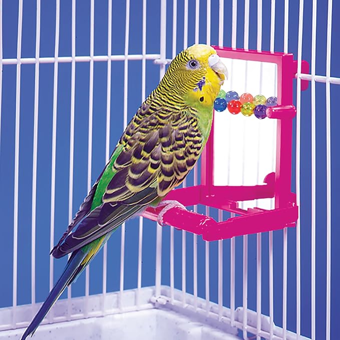 Penn-Plax Bird Life - Landing Perch with Mirror and Beads - Perfect for Parakeets, Finches, and Other Small Birds (BA504)