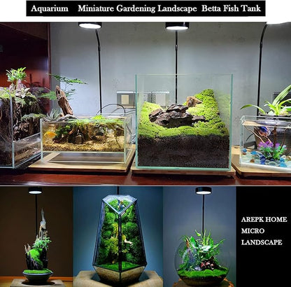 AREPK Aquarium Light Full Spectrum LED, for Under 3 Gallon Fish Tank, Light with Timer Auto On/Off, Betta Fish Tank,Indoor Plant Growth, Potted Plants, Succulent, Miniature Gardening Landscape (5)