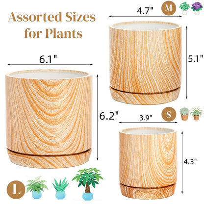 Dicunoy Set of 3 Ceramic Planters - 6"/5"/4" Cylinder Flower Pots with Drainage Holes and Saucers for Indoor, Outdoor, Garden, Cactus, Herbs, Snake Plants, Aloe Vera, All House Plants