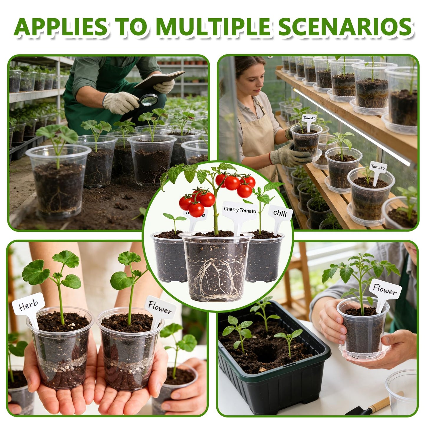 CAKKVDE 36 Pack Clear Nursery Pots with Saucers, 3.5/4/5 Inch High Transparency Plastic Plant Pots with Drainage Holes, Variety Pack for Propagation, Seed Starting, Succulents, Herbs and Vegetables