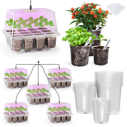 The Bundle of Bonviee 5 Packs Seed Starter Tray with Grow Light and 36 Packs Variety Sizes Clear Nursery Pots